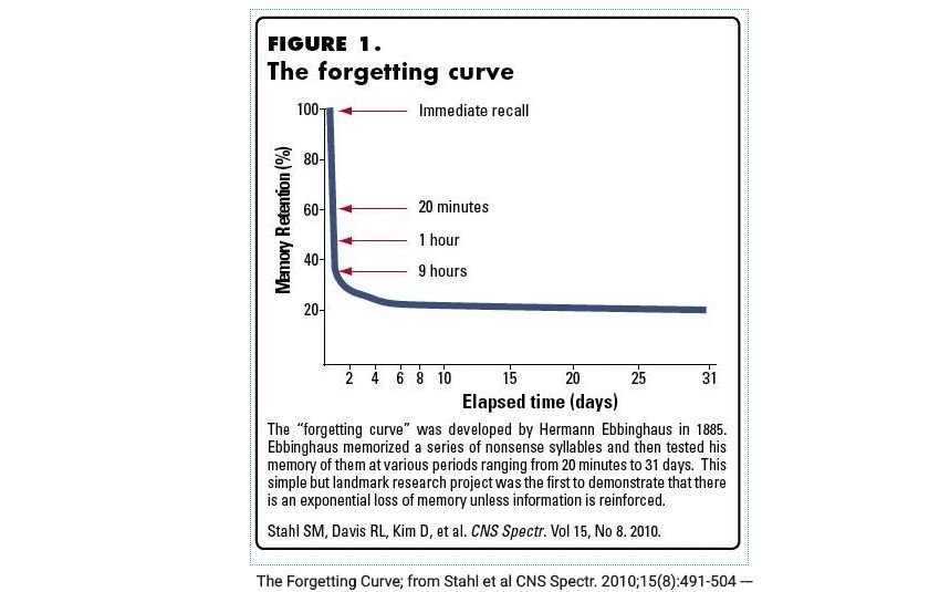 forgetting curve