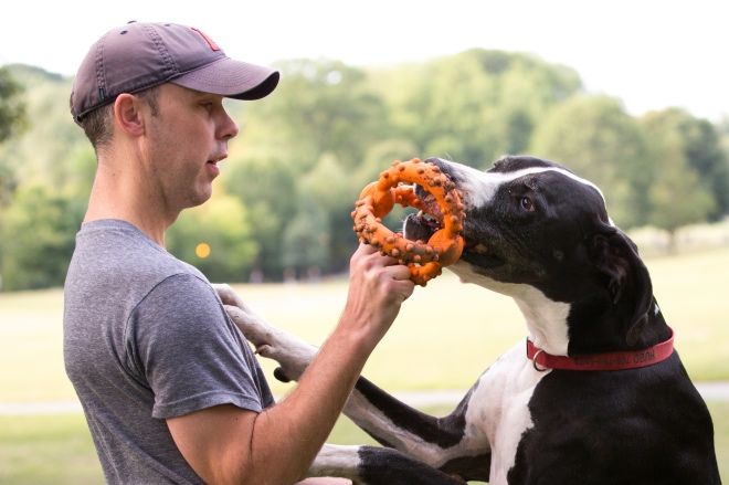 BarkBox produces toys that can withstand even the biggest jaws.