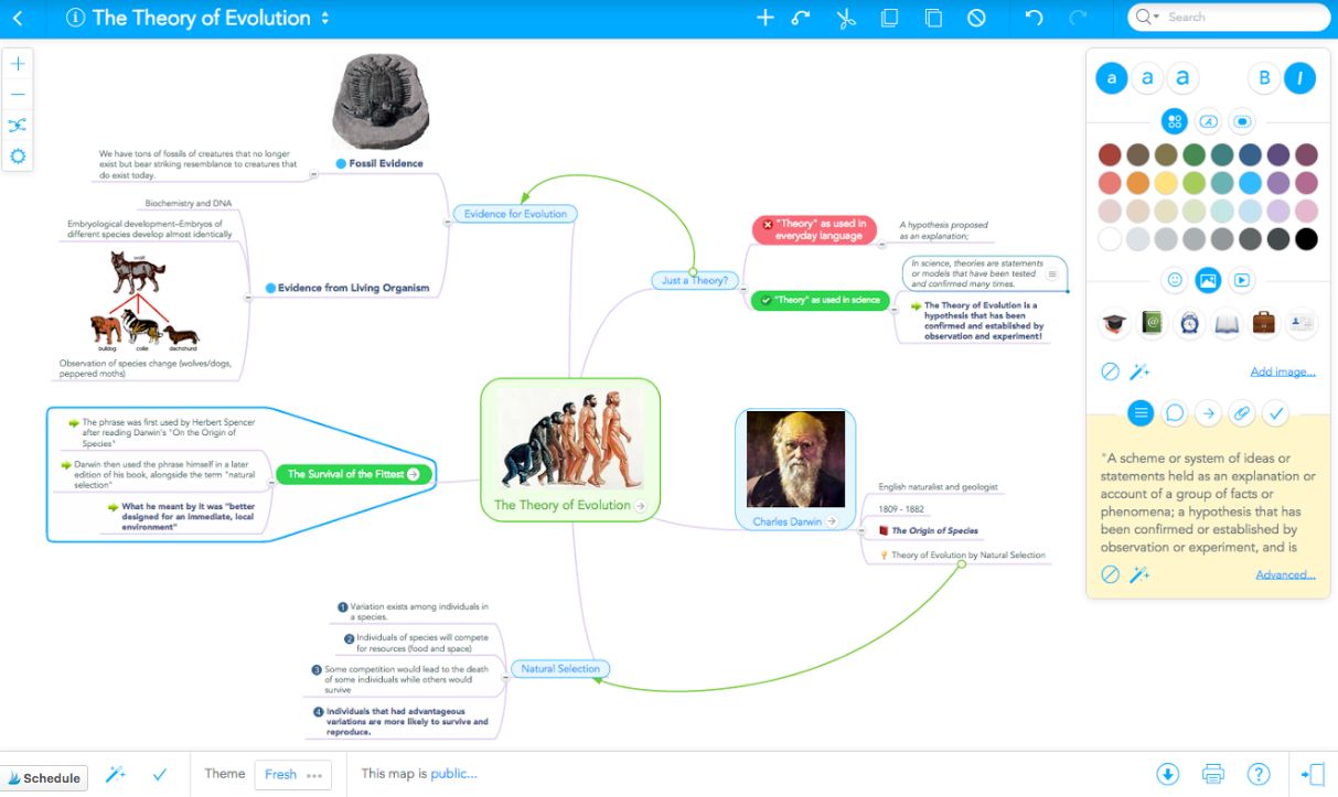 Mind Map example