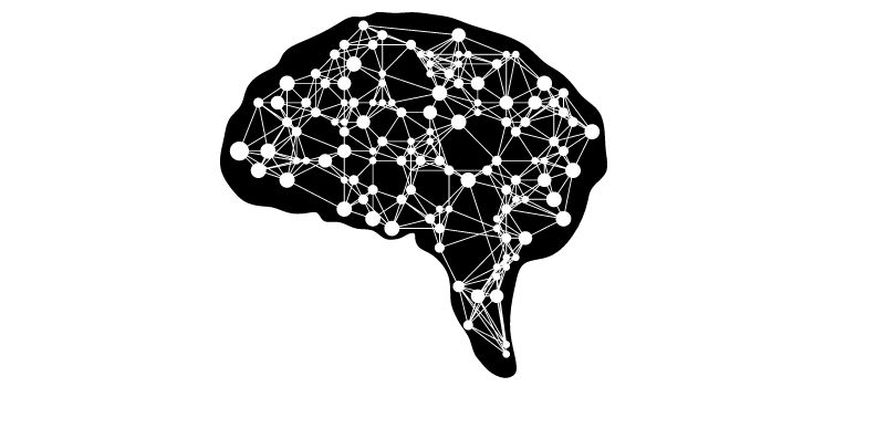 Brain neurons