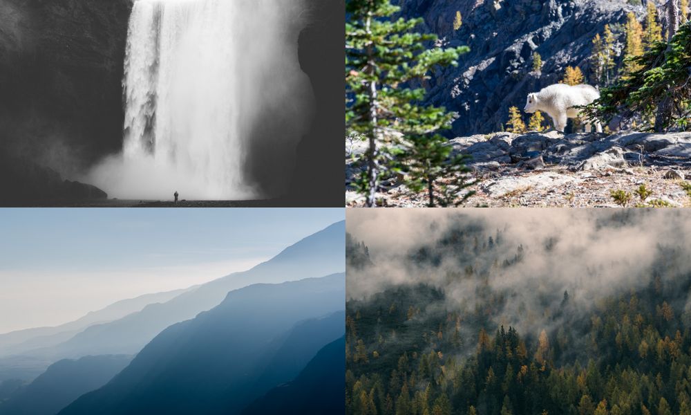Photos from Unsplash