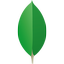 MongoDB